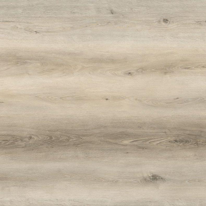 Chattahoochee - Rigid Core Floor (9" x 60") - Prime Source Flooring